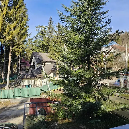 Calin Villa Sinaia
